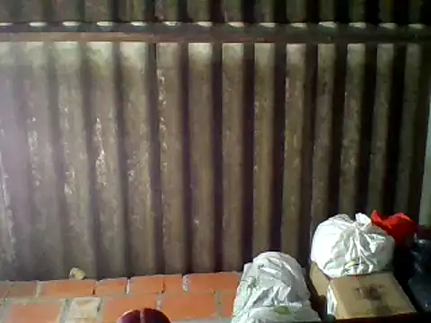 dafne19  online show from 16, 2, 2025