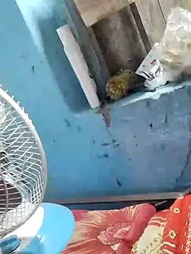 Natasha-In69 online show from 6, 2, 2025