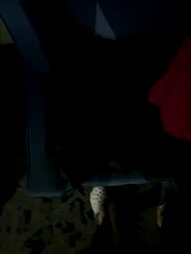 Snapshot of JosephAKenwood chatting on 2, 12, 2025 JosephAKenwood online show from 2, 12, 2025