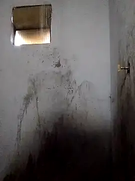 Snapshot of Percybr4561 chatting on 1, 11, 2025 Percybr4561 online show from 1, 11, 2025