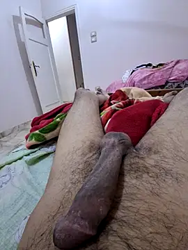 3anntel online show from 14, 11, 2025