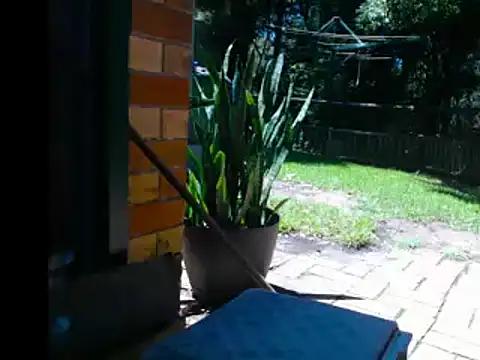 InfamousBabyy  online show from 12, 12, 2024