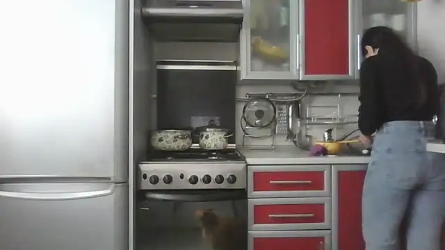 Kashtanka  online show from 25, 3, 2026