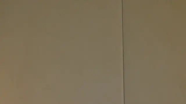 Snapshot of NattyDevon chatting on 20, 2, 2025 NattyDevon online show from 20, 2, 2025