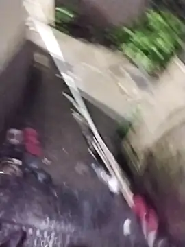 Alokraj373990 online show from 1, 11, 2025