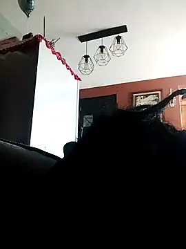 Bola453 online show from 2, 3, 2026