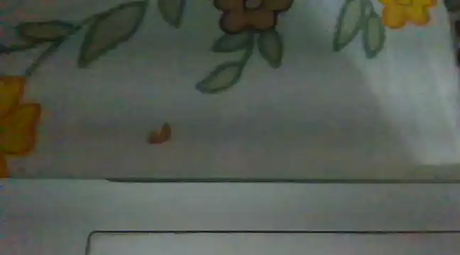 biggest lund  online show from 28, 12, 2024