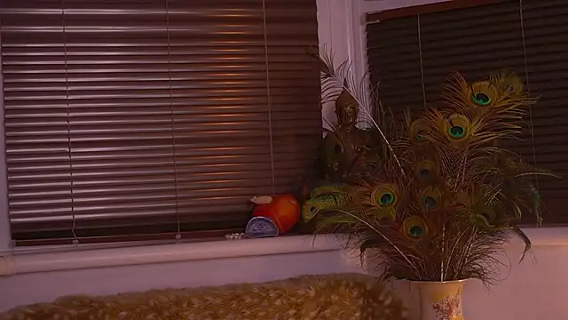 divinelights online show from 12, 11, 2025