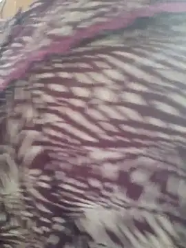 Snapshot of samitasharma chatting on 14, 11, 2025 samitasharma online show from 14, 11, 2025