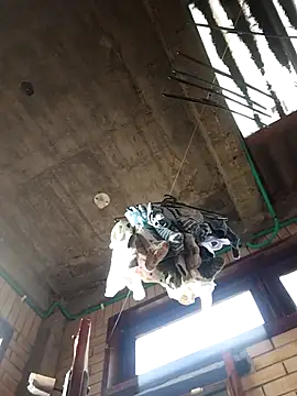 Snapshot of gigolopez1 chatting on 15, 2, 2026 gigolopez1 online show from 15, 2, 2026