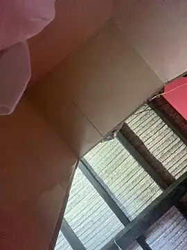 Snapshot of Dalton_oficial chatting on 13, 2, 2026 Dalton oficial online show from 13, 2, 2026