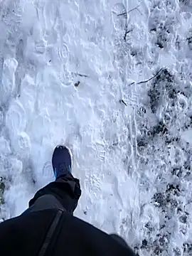 Snapshot of OdinWolf1990 chatting on 10, 1, 2026 OdinWolf1990 online show from 10, 1, 2026