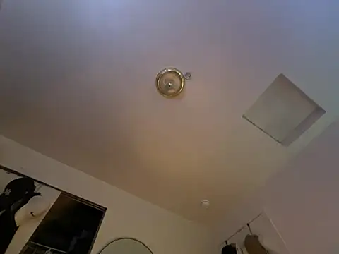 ganosex online show from 24, 12, 2024