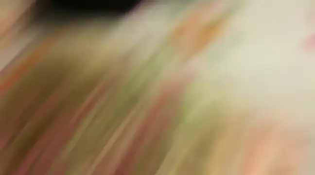 wild x predator online show from 10, 1, 2025