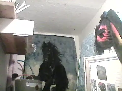 Snapshot of lilbishmiss chatting on 13, 2, 2025 lilbishmiss online show from 13, 2, 2025