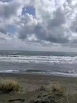 dhaadhawe online show from 21, 3, 2026