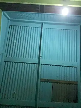 islandvybee55 online show from 5, 2, 2026