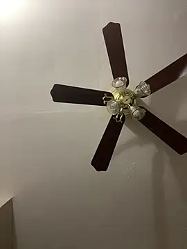 islandvybee55 online show from 25, 3, 2026