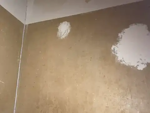 saint cat25 online show from 20, 2, 2026