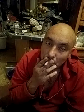 wilsons12 online show from 24, 11, 2025