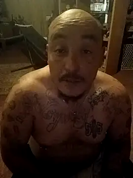 wilsons12 online show from 12, 3, 2026