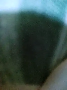 Snapshot of PayalSharmahot143 chatting on 2, 10, 2025 PayalSharmahot143 online show from 2, 10, 2025