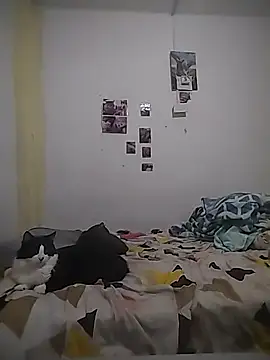 safira hot online show from 16, 2, 2026