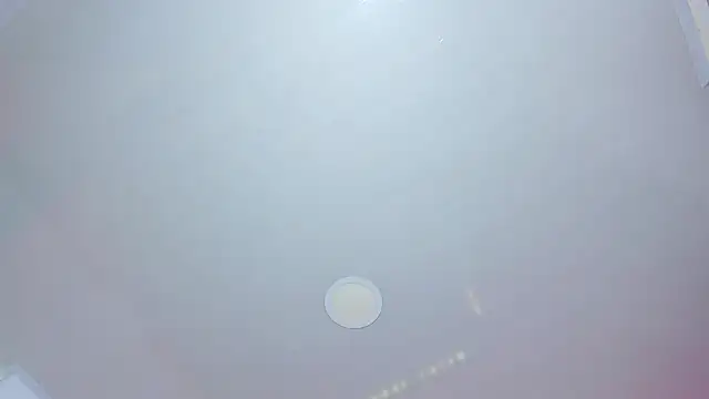 Daisy  rose online show from 20, 3, 2026