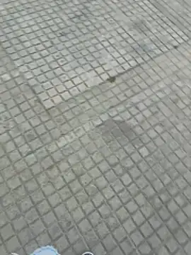 Snapshot of jovenestraviesos chatting on 1, 3, 2026 jovenestraviesos online show from 1, 3, 2026