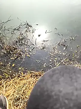 Snapshot of huzi518 chatting on 8, 3, 2025 huzi518 online show from 8, 3, 2025