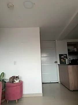 DakotaShelby online show from 6, 4, 2026