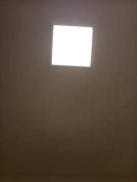 Porzz-6 online show from 18, 11, 2025