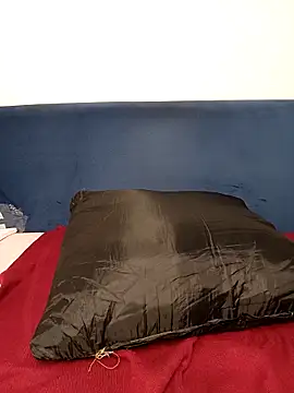 Snapshot of Blue_Zone_Sl chatting on 9, 11, 2025 Blue Zone Sl online show from 9, 11, 2025