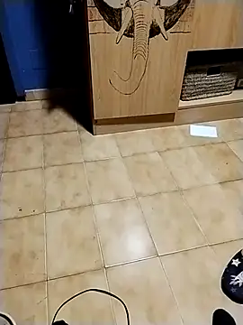 Snapshot of minitranca chatting on 10, 11, 2025 minitranca online show from 10, 11, 2025