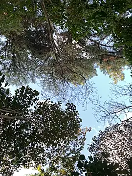  PhillipBrown online show from 10, 9, 2025