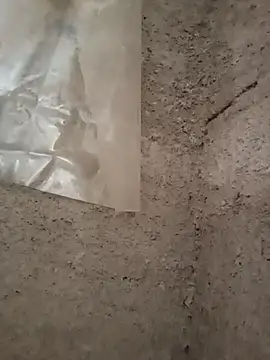 Snapshot of strip_1212 chatting on 29, 11, 2025 strip 1212 online show from 29, 11, 2025