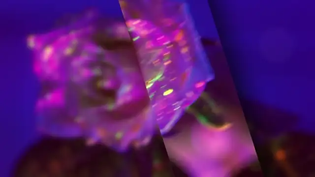 HeyBananas online show from 22, 10, 2025