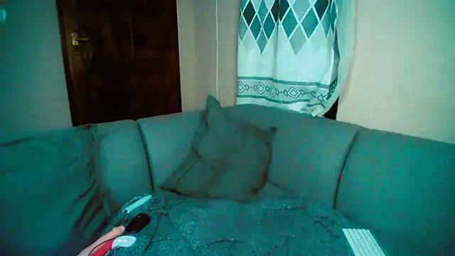 Snapshot of GoldenPussyXOXO chatting on 5, 12, 2024 GoldenPussyXOXO online show from 5, 12, 2024