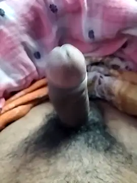 dick 01728 online show from 11, 12, 2024