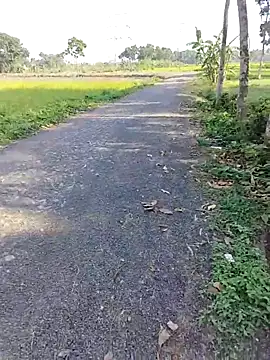 dick 01728 online show from 11, 4, 2026