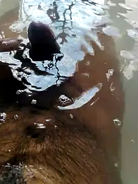 mysterious guy kakashi1 online show from 22, 2, 2026