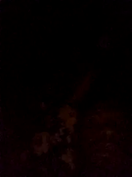 Hilkanna  online show from 8, 3, 2026