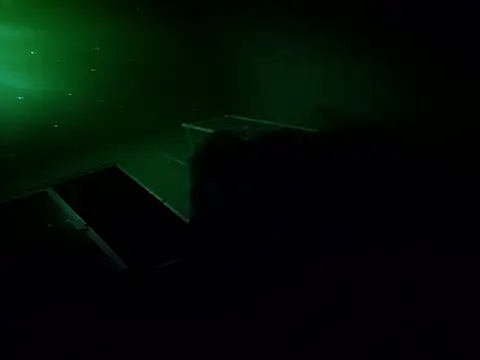 6MataGarcia online show from 7, 11, 2025