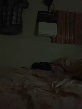 Snapshot of Johnras121 chatting on 23, 11, 2025 Johnras121 online show from 23, 11, 2025