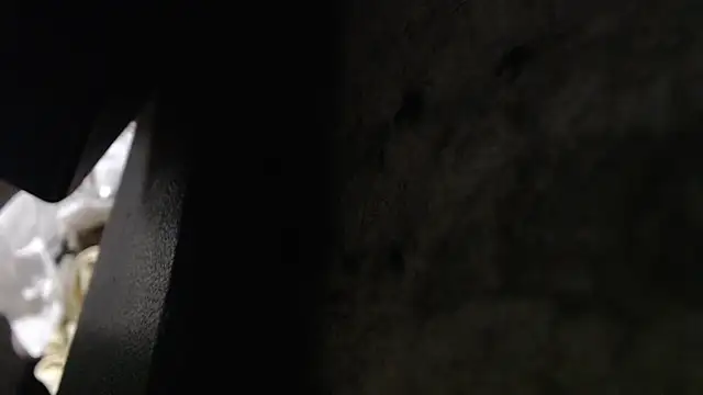 Hungry  Puppy online show from 8, 11, 2025