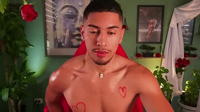 Snapshot of Aaronfox_x chatting on 14, 2, 2025 Aaronfox x online show from 14, 2, 2025