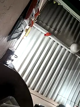 Snapshot of arppyyyxx chatting on 22, 10, 2025 arppyyyxx online show from 22, 10, 2025