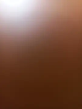 Snapshot of wildfox566 chatting on 14, 6, 2026 wildfox566 online show from 14, 6, 2026