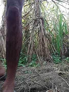 Snapshot of cjonybab chatting on 18, 11, 2025 cjonybab online show from 18, 11, 2025