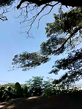 Snapshot of Chocolate_factory_man chatting on 18, 1, 2025 Chocolate factory man online show from 18, 1, 2025